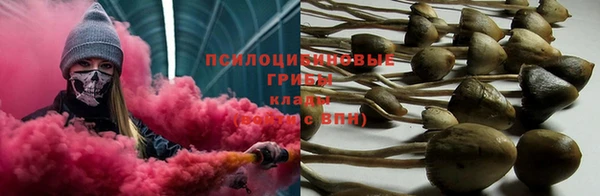 прущая мука Алексин