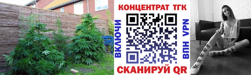 Дистиллят ТГК Wax Арск